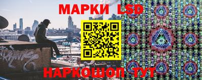 шишки Лесной