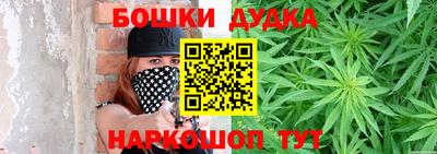 МДПВ Будённовск