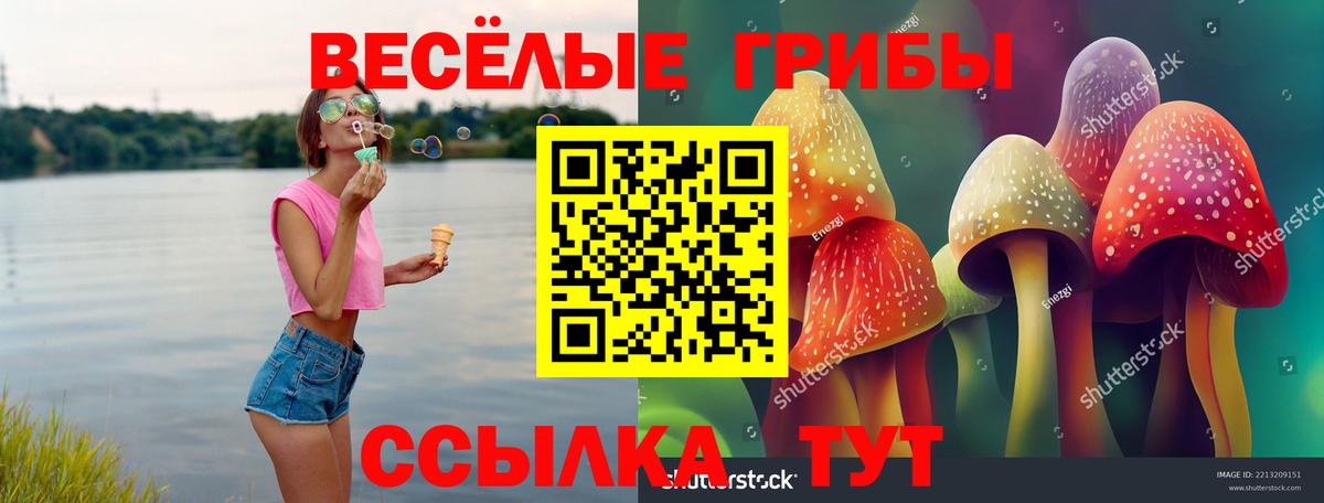 Галлюциногенные грибы ЛСД  Вход с VPN  Новочеркасск  Галлюциногенные грибы Psilocybe 